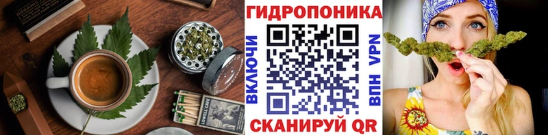 Cannafood конопля  Купить закладки  Братск 