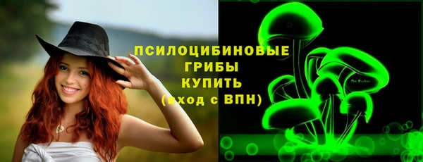 гидра Каменск-Шахтинский