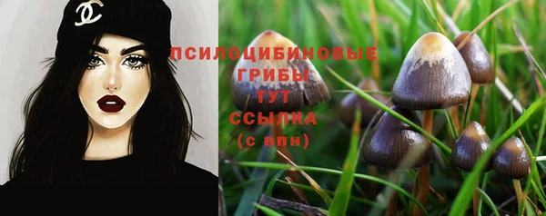 скорость Каменногорск