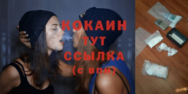 ALPHA PVP Каменка