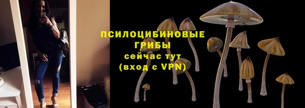 гидра Каменск-Шахтинский