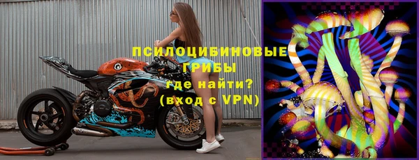 ALPHA PVP Каменка