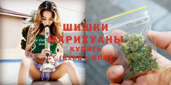 скорость Каменногорск