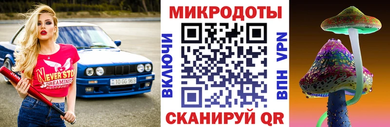 Галлюциногенные грибы мицелий  Купить где  Братск 